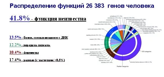 Количество генов. Сколько генов у человека. 'Голько генов у человека. Количество генов в геноме человека. Число функционирующих генов в геноме человека.