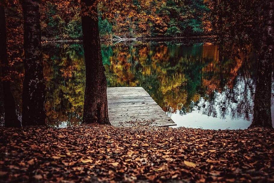 Размышления осени. Размышления об осени. Осенние раздумья. Отражение. Лесное озеро осень.