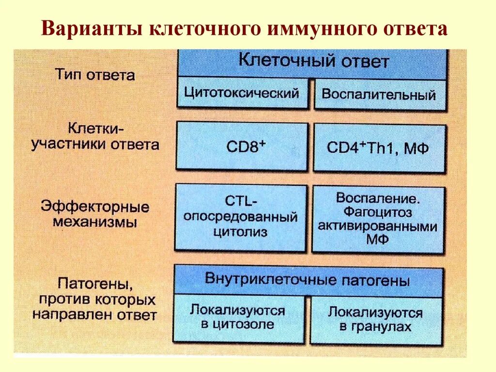 Варианты иммунного ответа