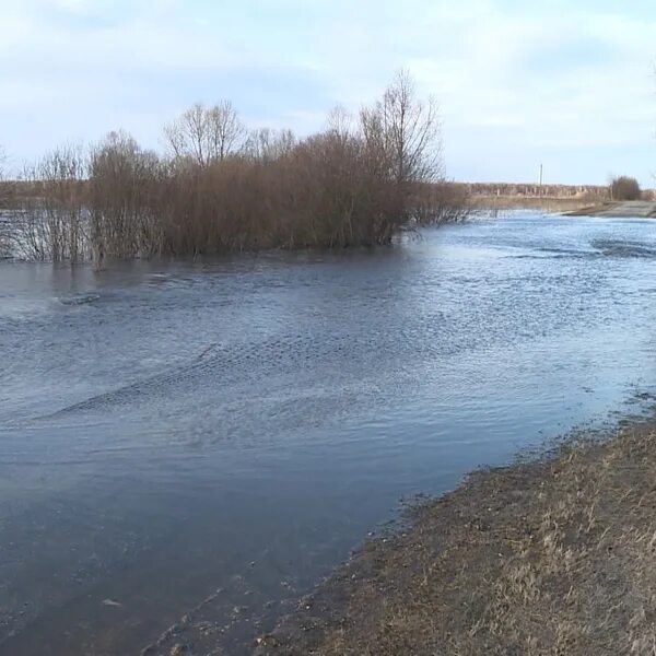 Разлив оки. Вода на оке реке подъем. Река ока калуга паводок. Понтонный мост шумерля. Река угра товарково.