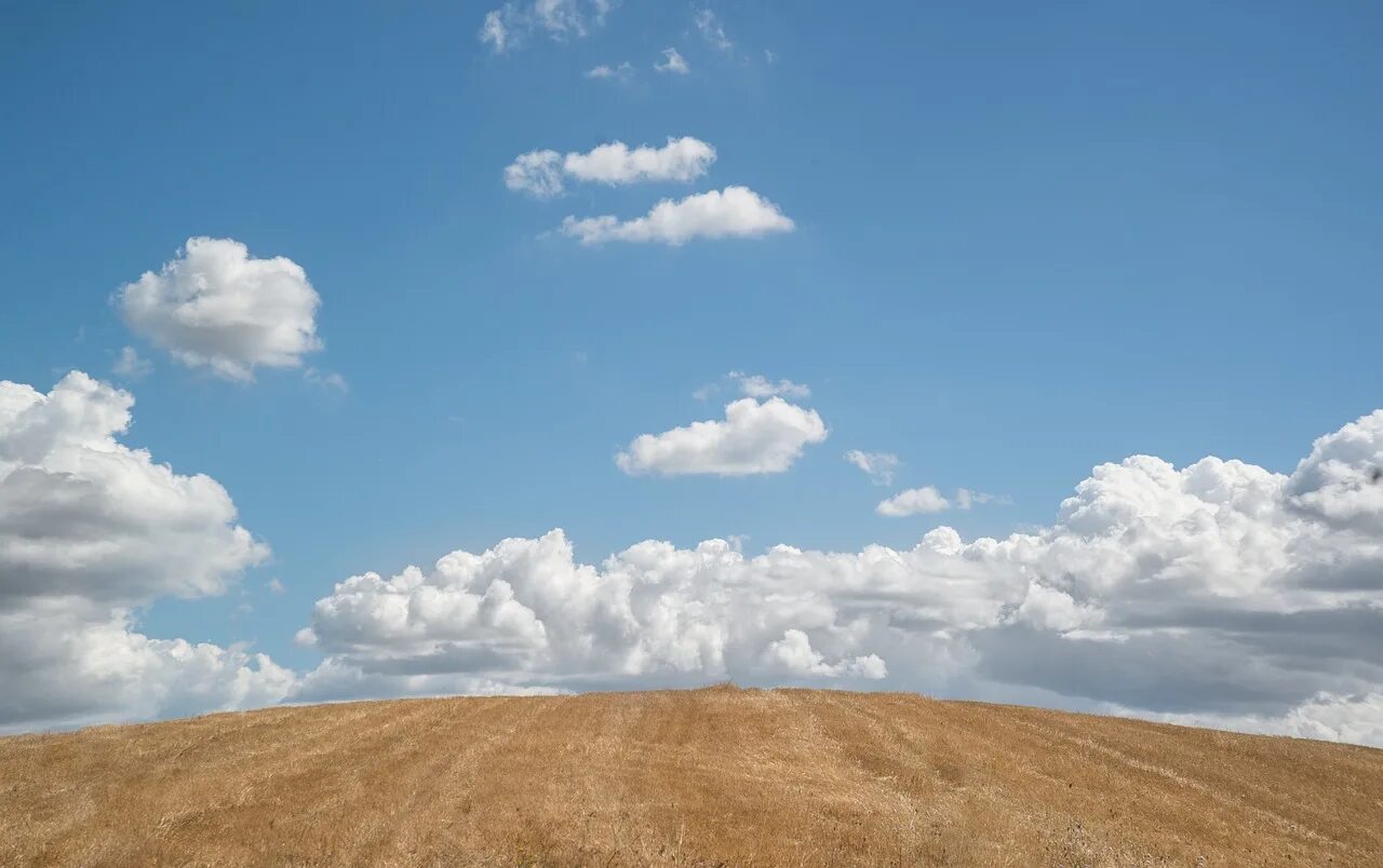 Cloud field