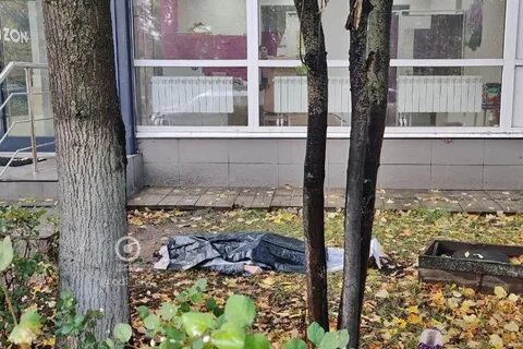 55 верни