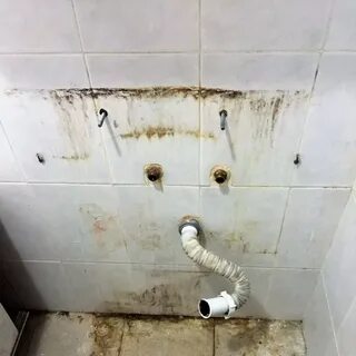 Плесень на плитке в ванной