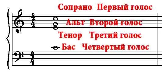 1 сопрано 2 сопрано. Голоса альт сопрано. альт тенор голос. бас альт сопрано. первый альт голос.