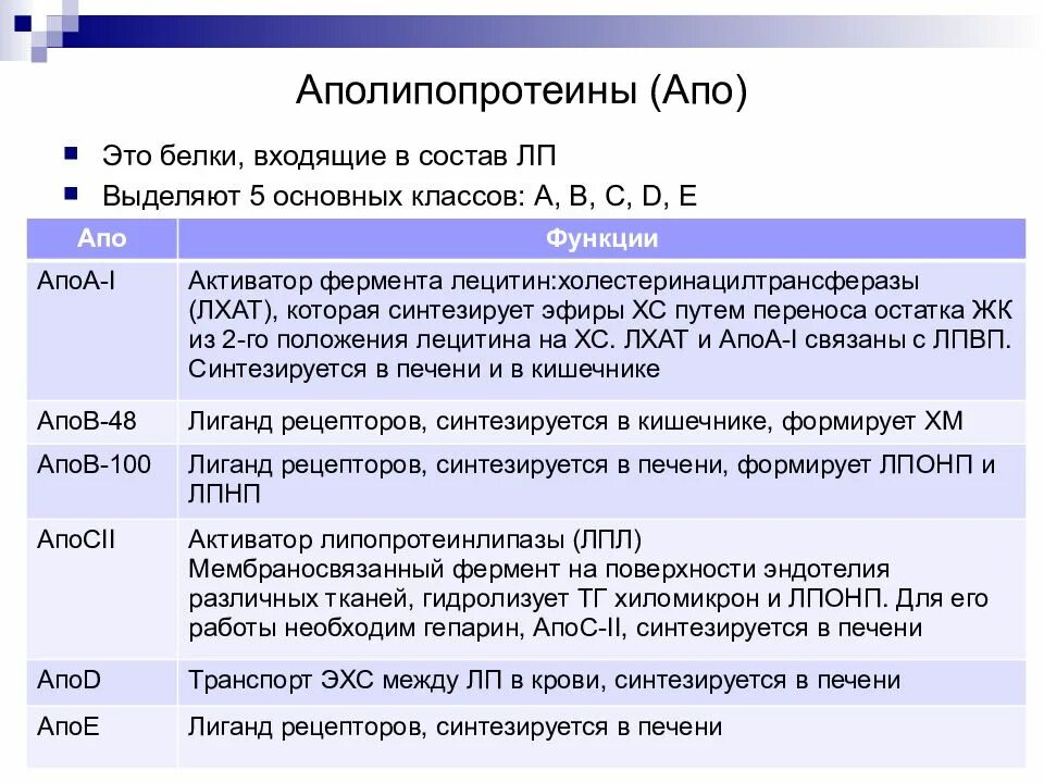 Апо курсы. Белок апо 48 входит в состав. аполипопротеин. апо белки. аполипопротеин функции.