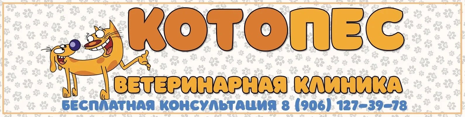 Котопес игра. Котопес железногорск. Котопес березники. Вывеска котопес. Котопёс ветеринарная клиника.