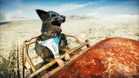 Mad max собака