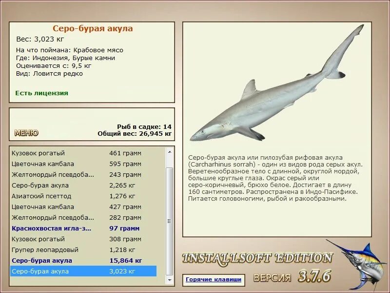 вес акулы. вес тупорылой акулы. сколько весит большая белая акула. длина акулы. сколько весит большая акула.