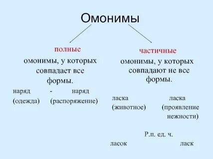 Значение омонимов кисть