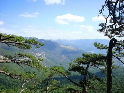 Лесные заповедники крыма