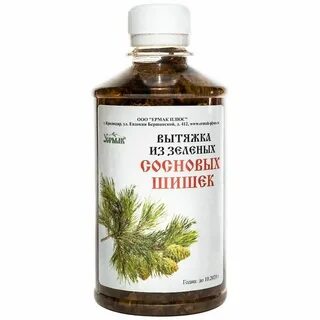 Настойка зеленых шишек сосны