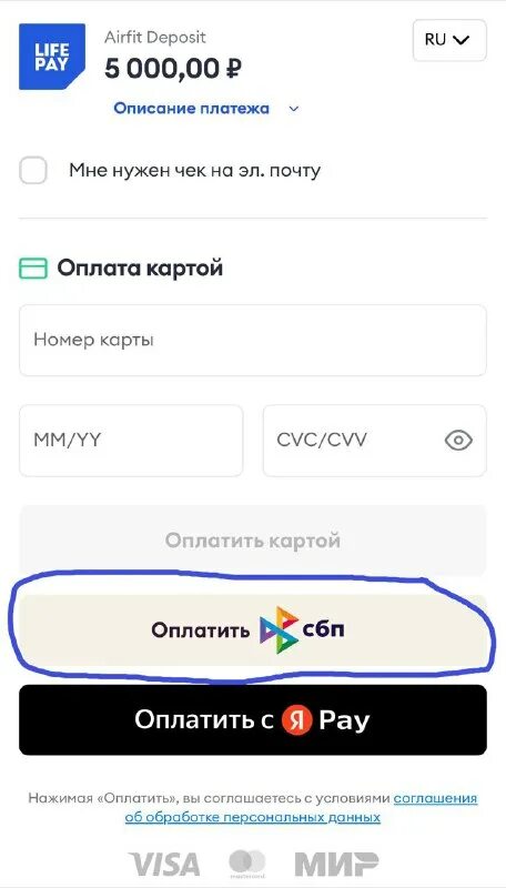 Оплата через спб приложение. Как оплатить на вайлдберриз. Скриншоты выплат вайлдберриз. Мобильное приложение. Оплатить через сбербанк.
