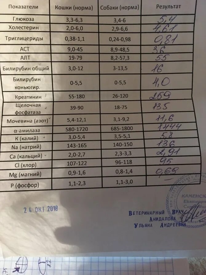 Почему повышена аст в крови. Алт щелочная фосфатаза норма. Анализы АСТ алт билирубин норма. Нормы билирубина щелочной фосфатазы. Норма показателей крови алт билирубин.