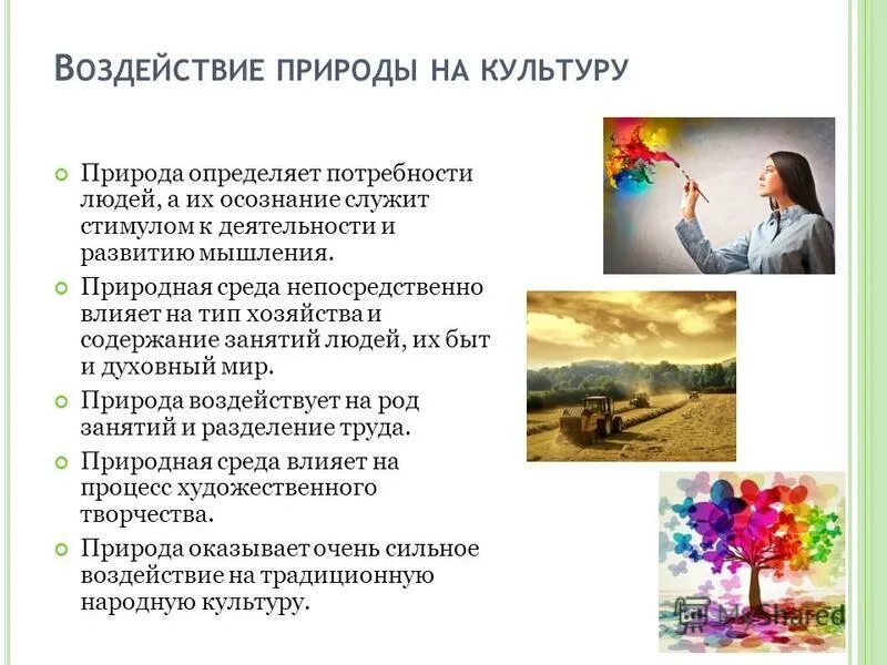 Непосредственно природная среда первая природа. Понять природу человека. Какую роль играет Живая природа в развитии культуры.