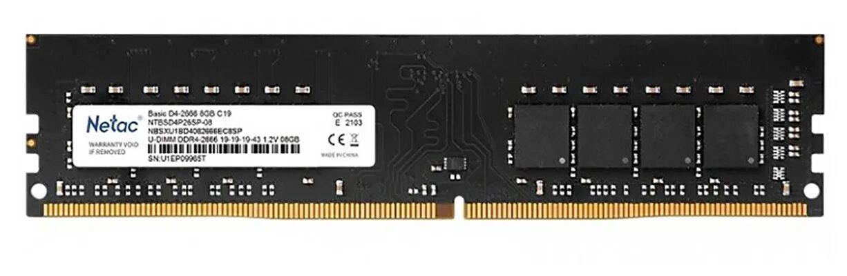 Оперативная память 16 гб ddr4 2666. Netac 8 ГБ ddr4 2666 МГЦ DIMM cl19 ntbsd4p26sp-08. Оперативная память ddr3 8gb Netac ntbsd3p16sp-08. Ddr4 4gb 2666mhz. Оперативная память Netac ddr4 16.