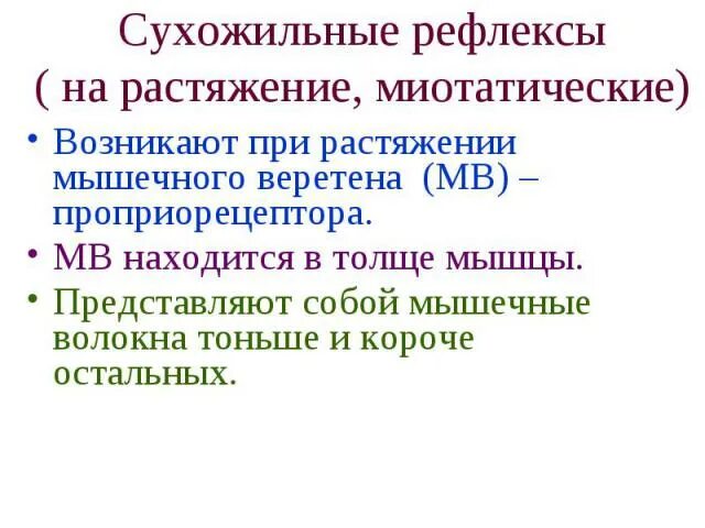 Миотатические рефлексы физиология. Сухожильные и миотатические рефлексы. Рефлекс растяжения. Миотатический рефлекс растяжения мышцы.