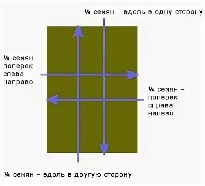 Идти вдоль и поперек. Схема посева семян газона. схема посадки газона семенами. вдоль и поперек это как. вдоль и поперек картинки.