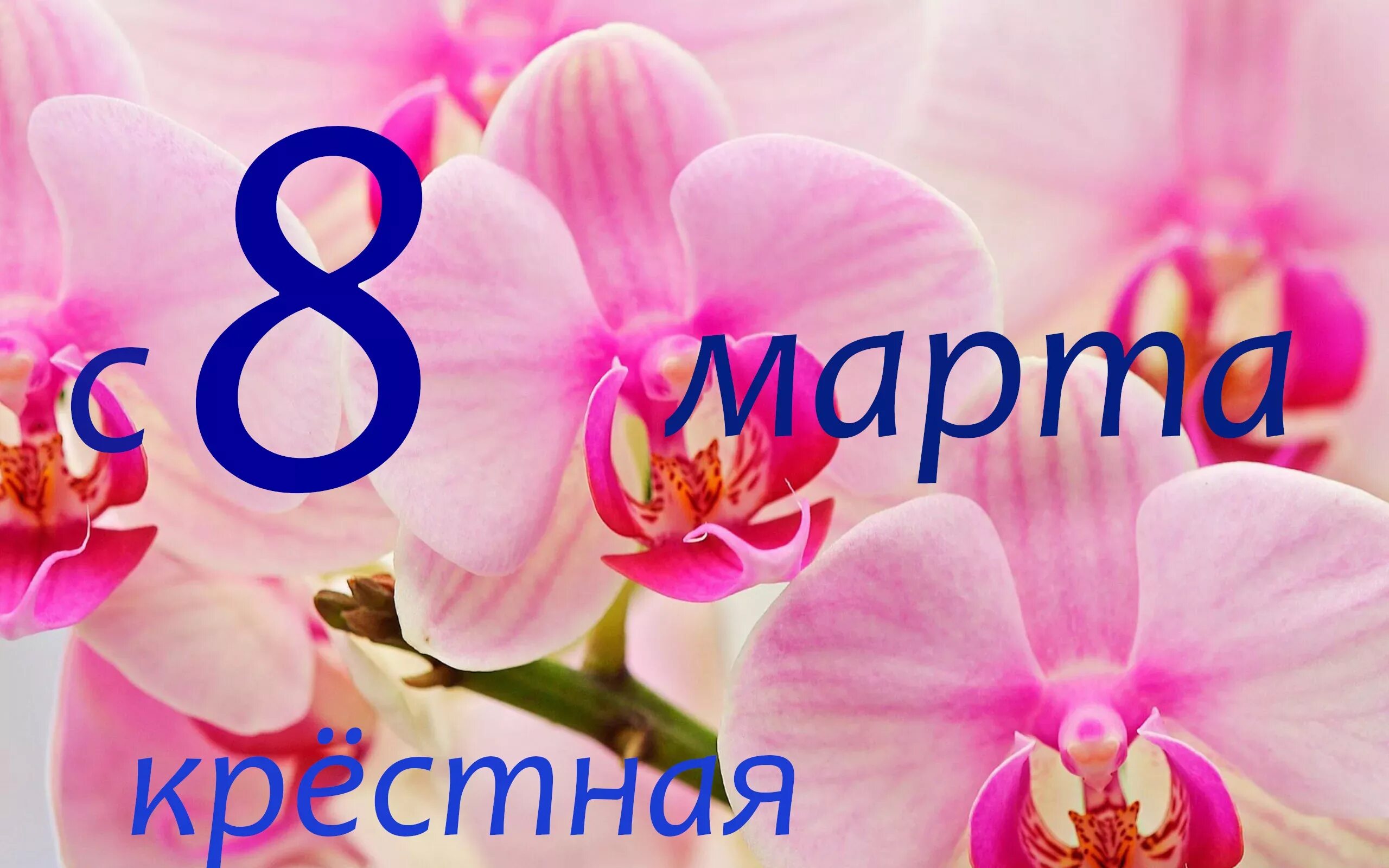 С праздником 8 крестнице