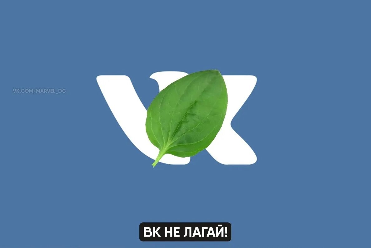 Телеграм лагает сейчас. Вк подорожник. вк лаги. вк лагает. вконтакте живи.