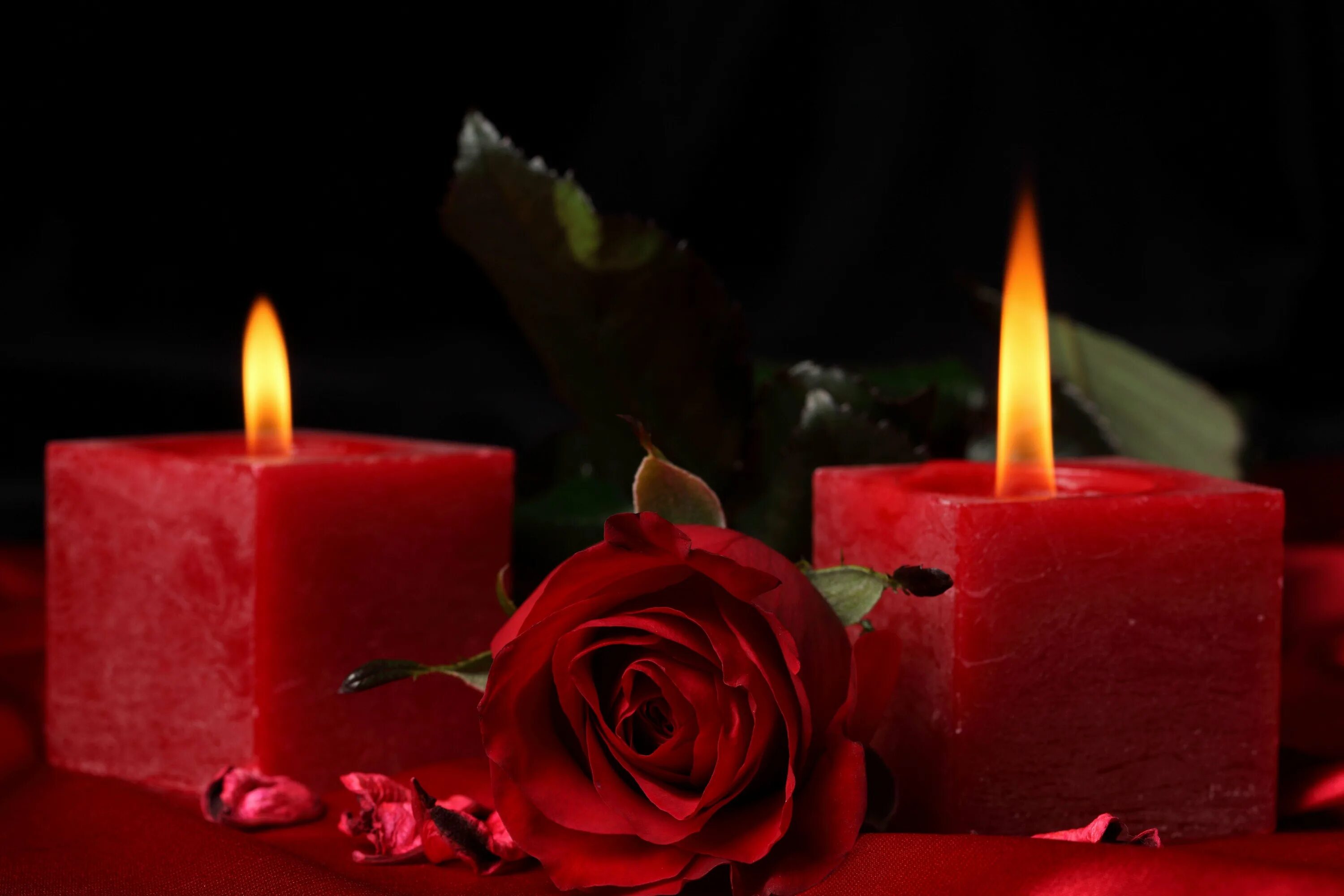 Красивая память. Траурные розы и свечи. Свеча скорби. Свеча и цветы траур. Скорбные цветы и свечи.