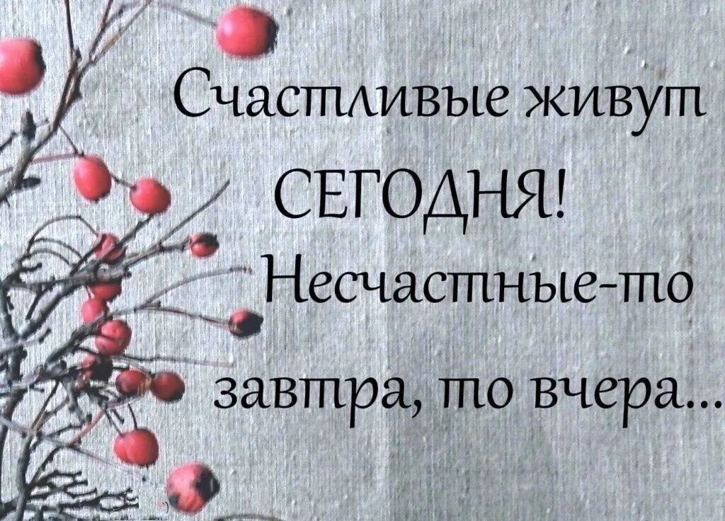 Будь счастлива сегодня завтра. Живите здесь и сейчас цитаты. фразы живи сегодняшним днем. высказывание живи сейчас. будь счастлив здесь и сейчас цитата.