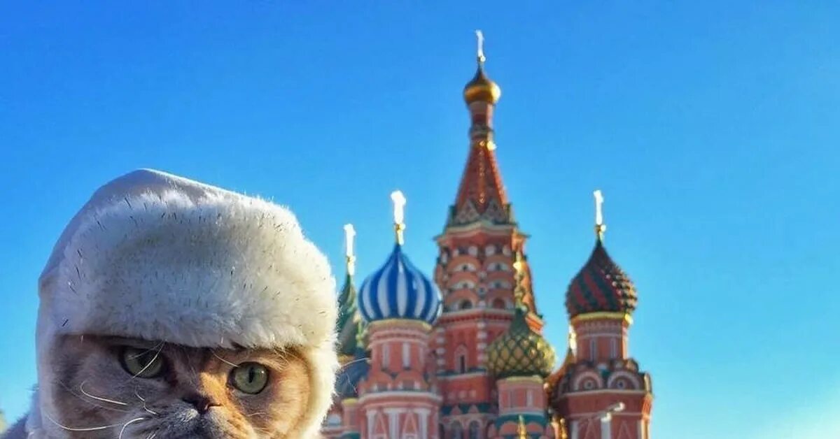Он уже выехал Пикабу