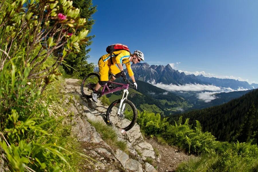 Велосипед для туризма. Норвегия велосипеды. Bike tours. Bike tours. Bike tours.