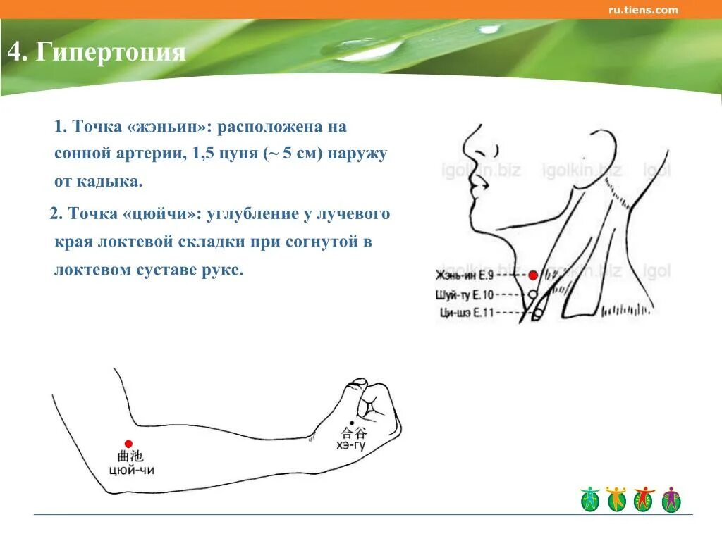 Акупунктурные точки при гипертонии. Точечный массаж для снижения веса. Точечный массаж точки для похудения. Китайский точечный массаж. Кис точка