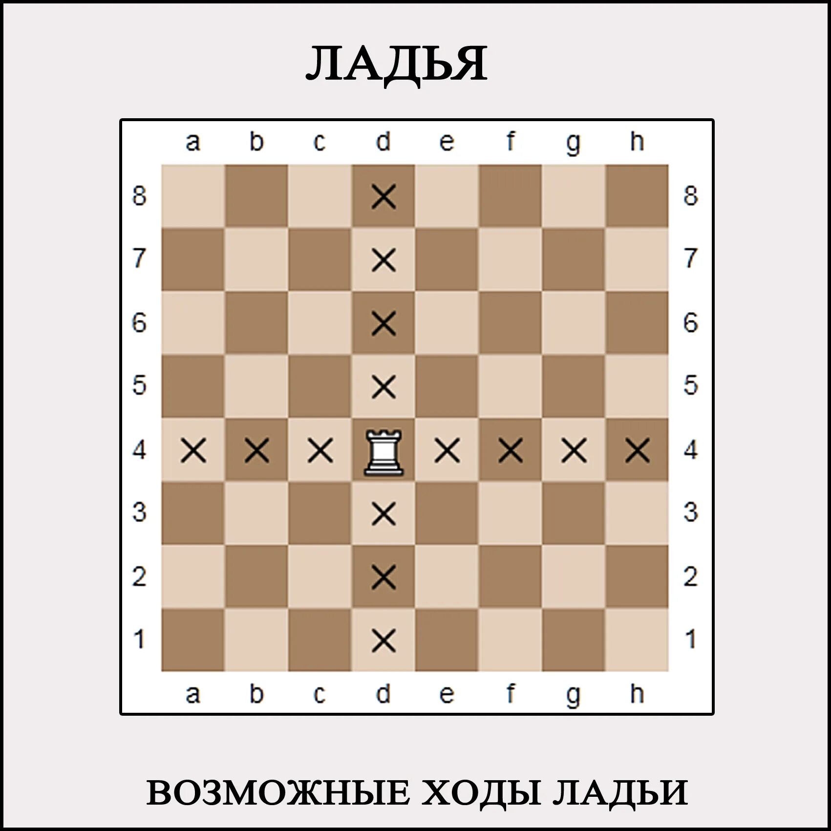 На шахматную доску ставят две ладьи
