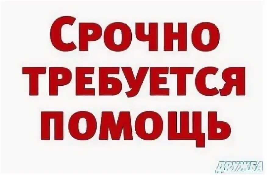 Требуется помощь взрослого. Требуется помощь. требуется помощь картинка. срочно требуется помощь. картинка срочно требуется помощь.