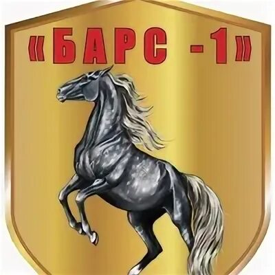 Барс 1 мл. Барс 1. барс 1 бобров 2010 год. юферов герб.