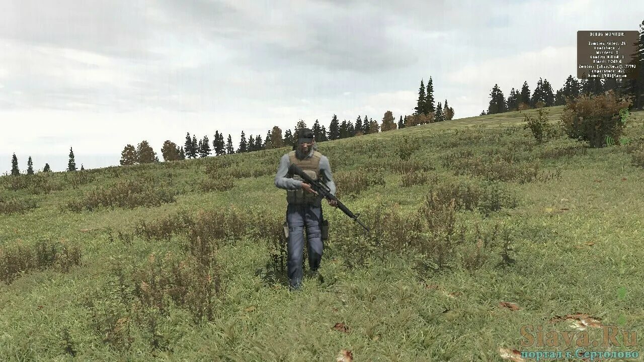 Купить игру dayz. Arma 2 дейз. Арма 2 DAYZ. DAYZ 2012. Arma 2 на движке DAYZ.