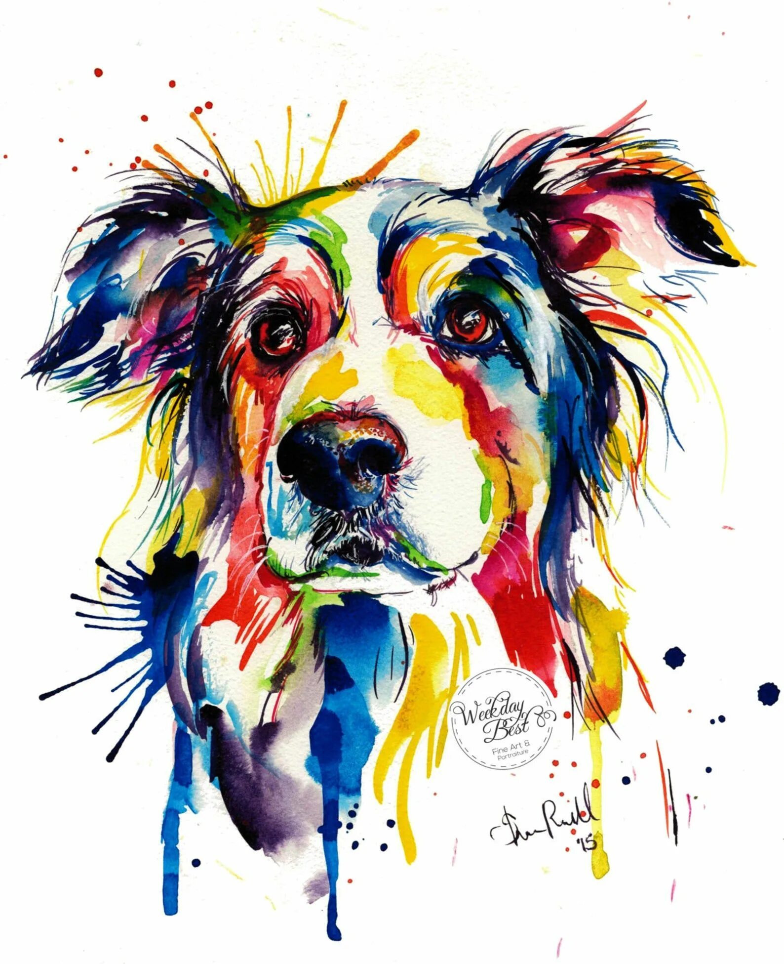 Painted dogs. Картина по номерам бордер колли. Яркие рисунки. Собака абстракция. Рисунки красками.