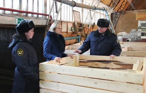 Тендеры архангельской