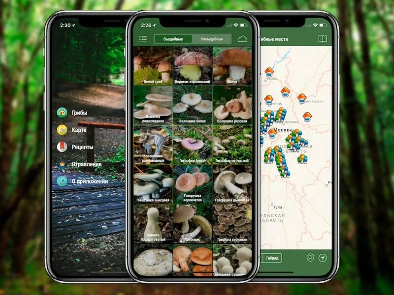 Mushroom Identify 2.91 - Скачать для Android APK бесплатно