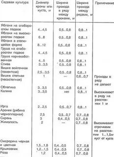 Высота плодовых деревьев