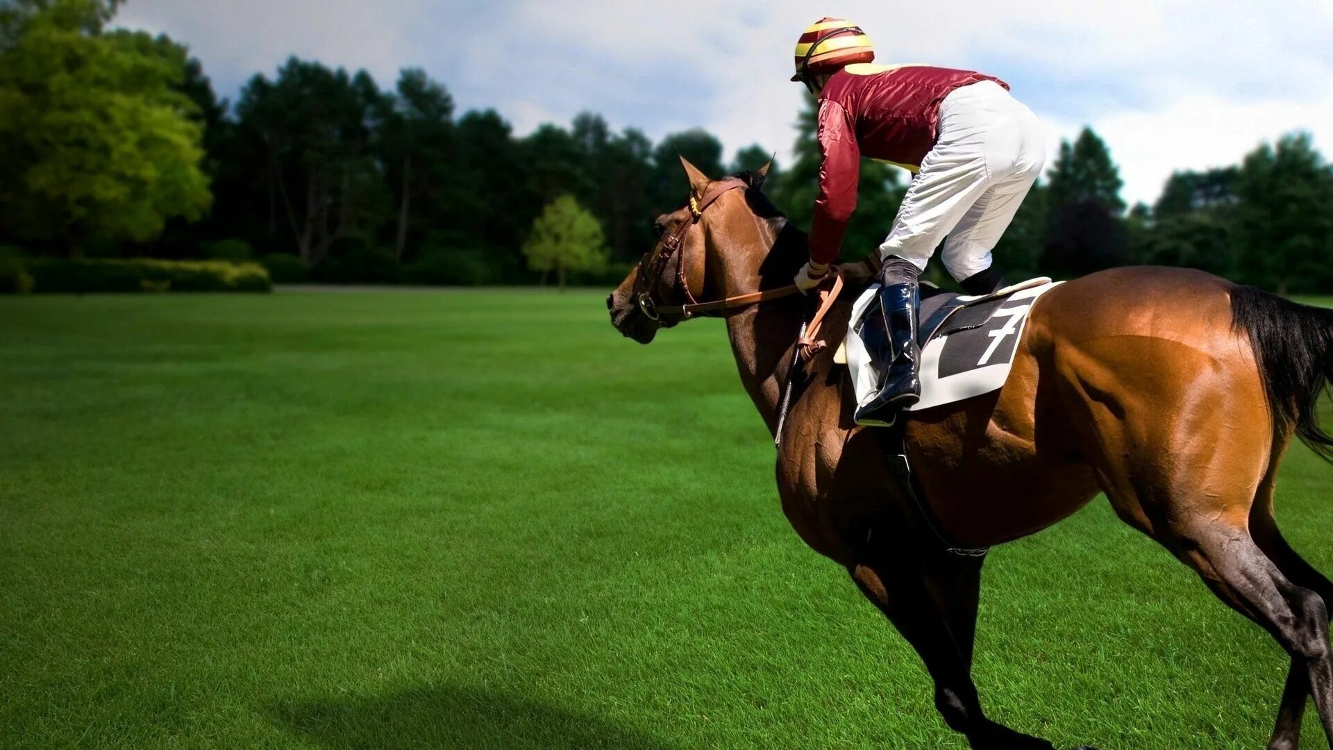 The horse rider. Жокей конный спорт. Вильям Кейтон наездник. Наездник жокей всадник.