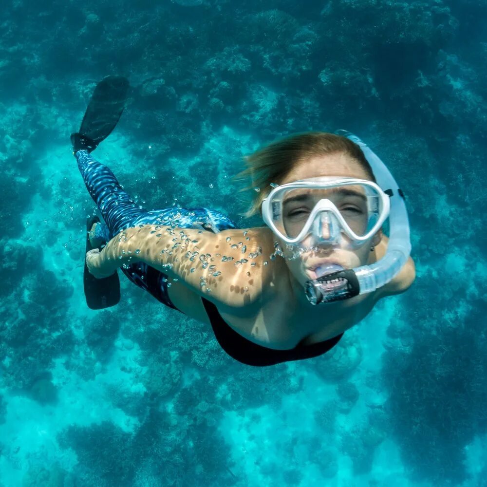 снорклинг. снорклинг что это такое простыми словами. снорклинг что это такое простыми словами. снорклинг с черепахами на мальдивах. снорклинг в крыму.