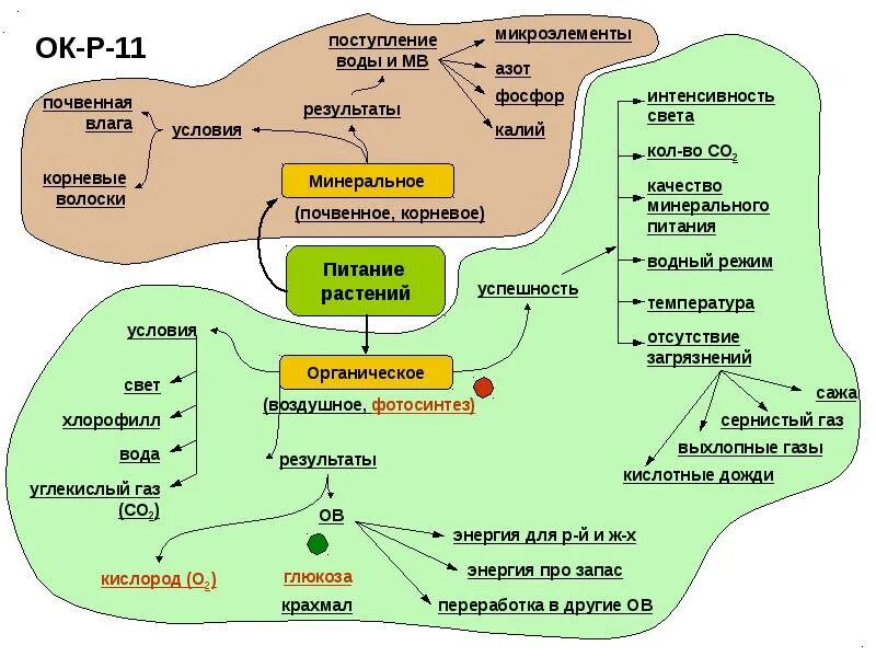 Минеральное питание растений схема 6 класс. Конспект по биологии 6 класс минеральное почвенное питание. Схема минерального питания. Минералы растений питание.