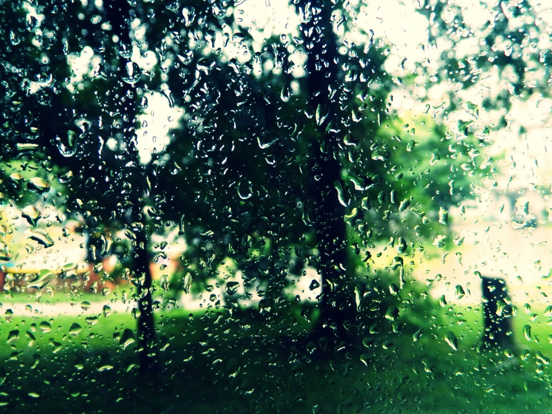 Raining tree