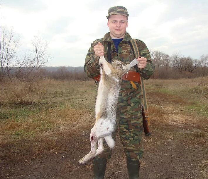 охотники и зайцы