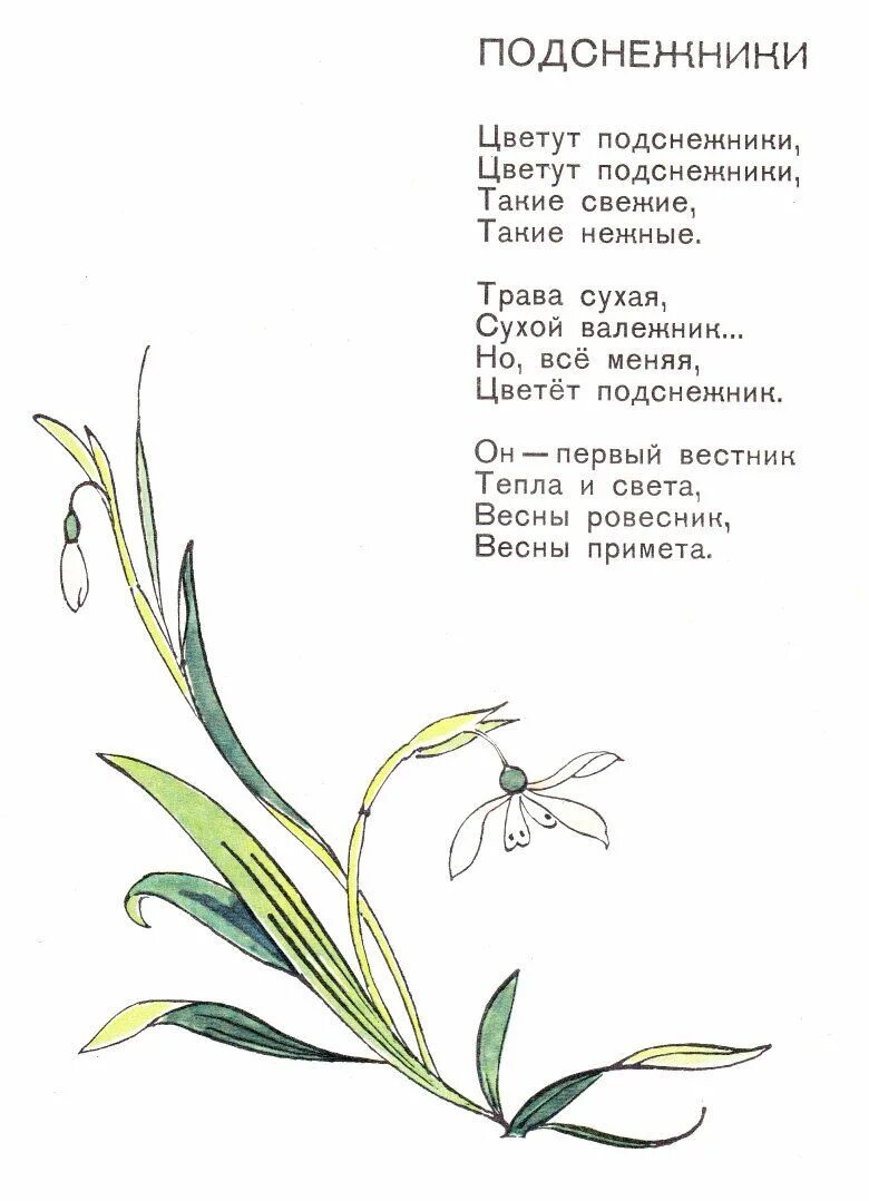 Александрова подснежник стихотворение. Стихотворение Подснежник. Стих про Подснежник. Детские стихи про Подснежник. Детское стихотворение про Подснежник.