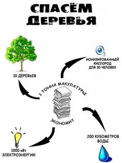 Тонна бумаги сколько деревьев