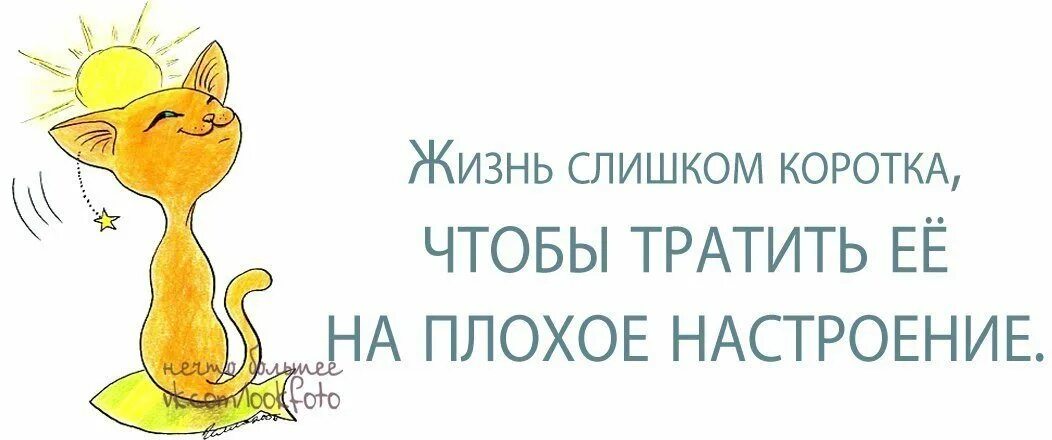 Слишком короткий ответ. Фразы фаины раневской о мужчинах. Слишком короткий ответ. Веселые мысли в картинках. Пароль.