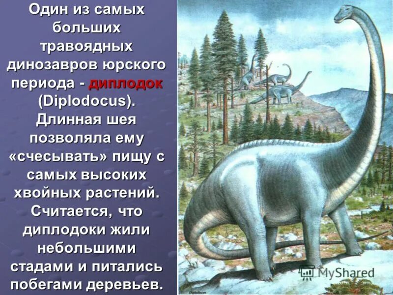 меловой период мезозойской эры. диплодок меловой период. мезозойская эра триасовый юрский. период мезозойской эры 3 буквы. мезозой юрский период таблица.