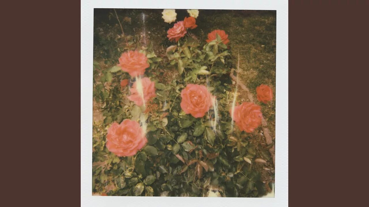 Girl in red певица. Girl in red beginnings. Герл ин ред обложка альбома. Girl in red обложка. Girl in red певица и ее девушка.