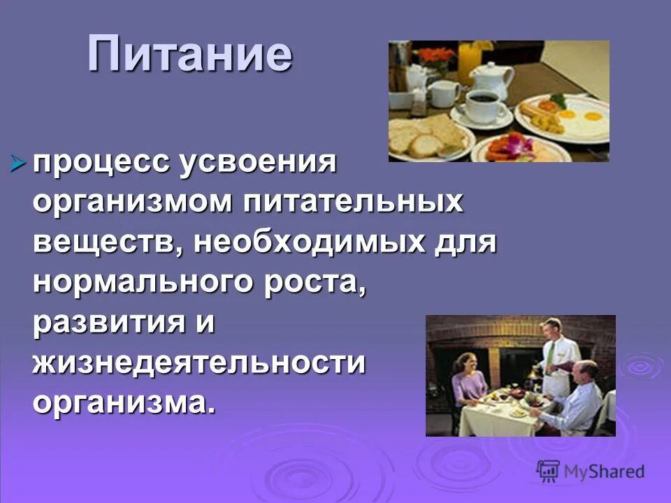 Лактоза усваивается организмом