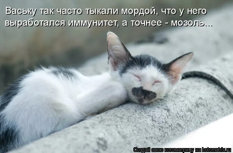 тыкать в морду своим выменем