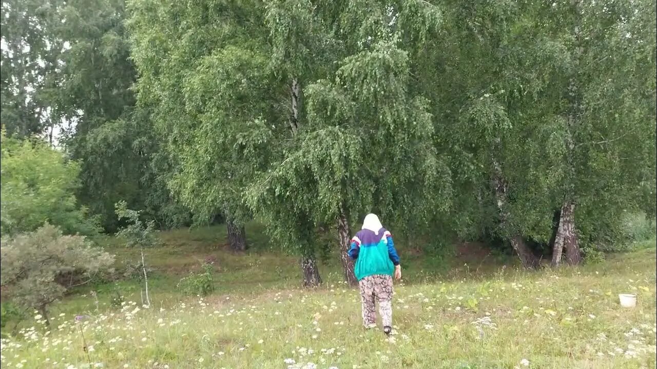 Алтайский край Первомайский район Поляна. Алтайский край Первомайский район Бажево Первомайская 19. Алтайский край Первомайский район село Саниково.