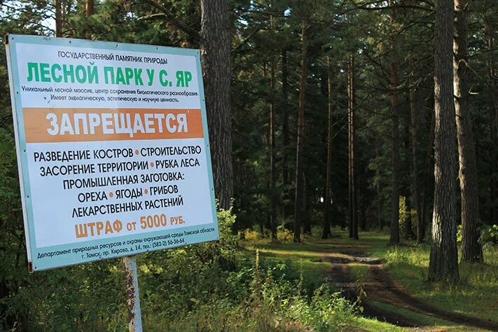 Грин форест парк. Рассказ о парке. Парк описание. Дирекция оопт спб. Описание лесного парка.